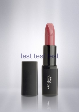 رژ لب بلاش آرکانسیل Arcancil Rouge Blush (کد رنگ 344)