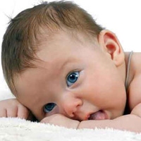 تصویر برای دسته  خشک، ملتهب و ترک دار