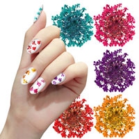 تصویر برای دسته  گل خشک ناخن